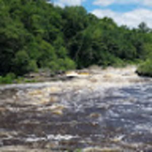 Meet your Posher, Kelley